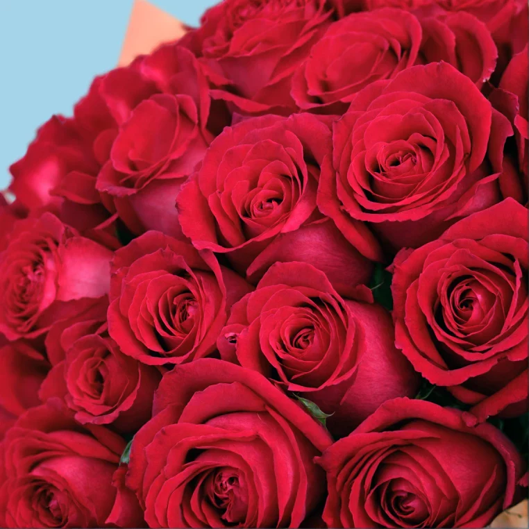 Product image 100