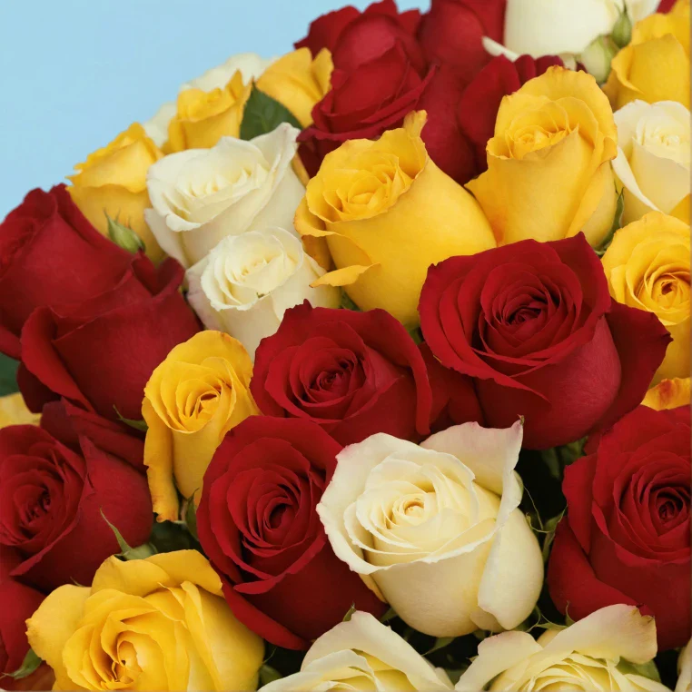 Product image 131