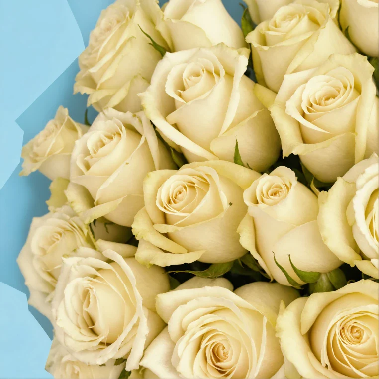 Product image 134