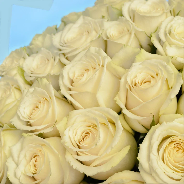 Product image 136