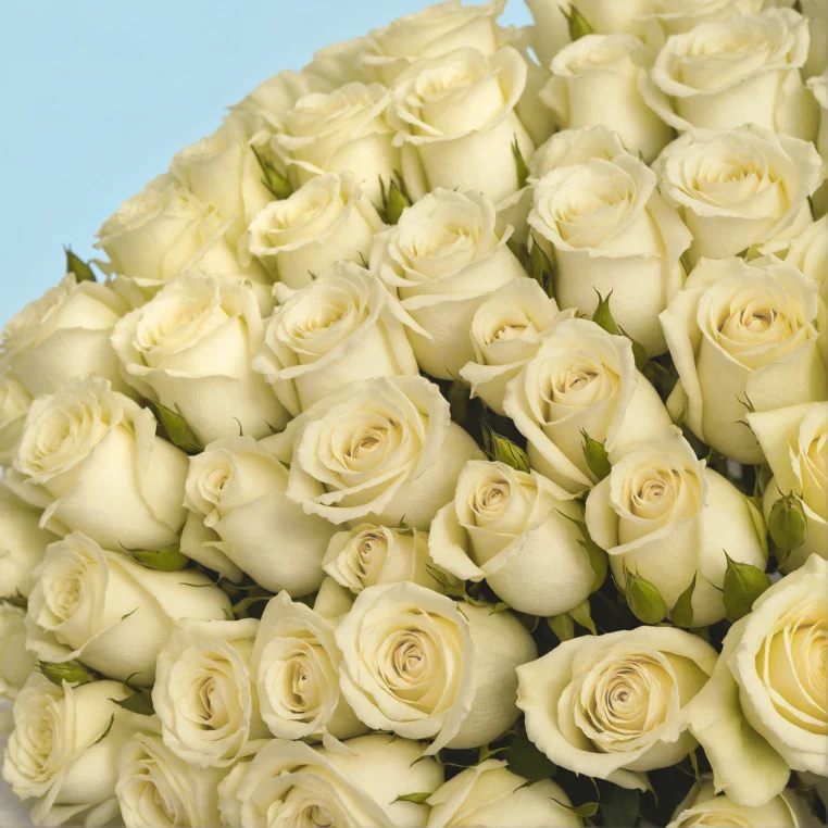 Product image 148