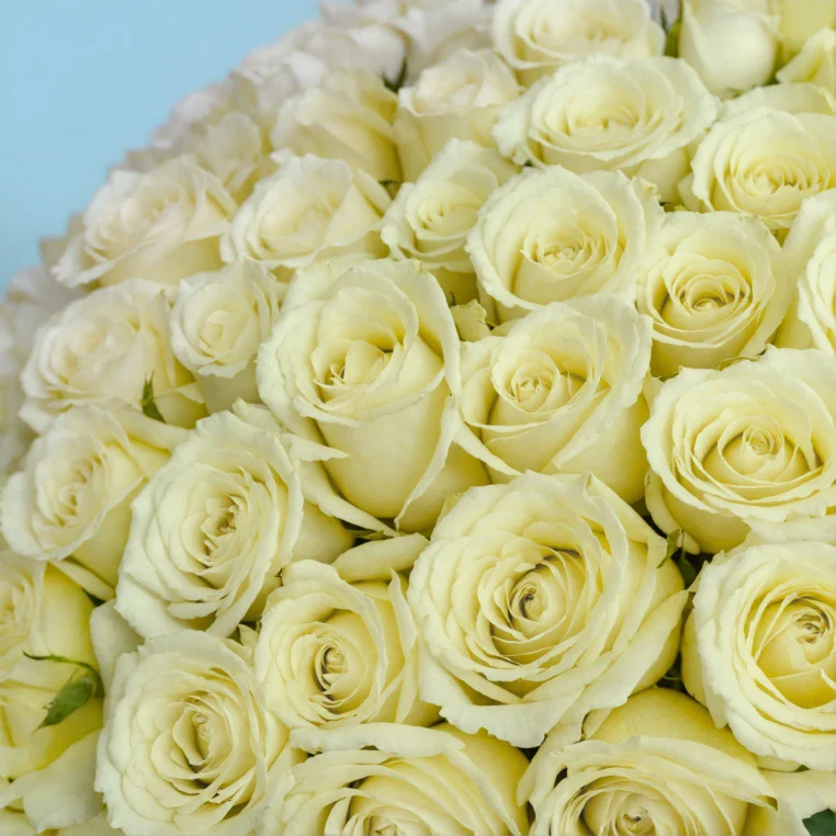 Product image 153