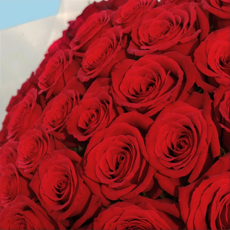 Product image 158