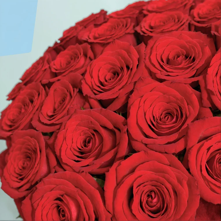 Product image 162