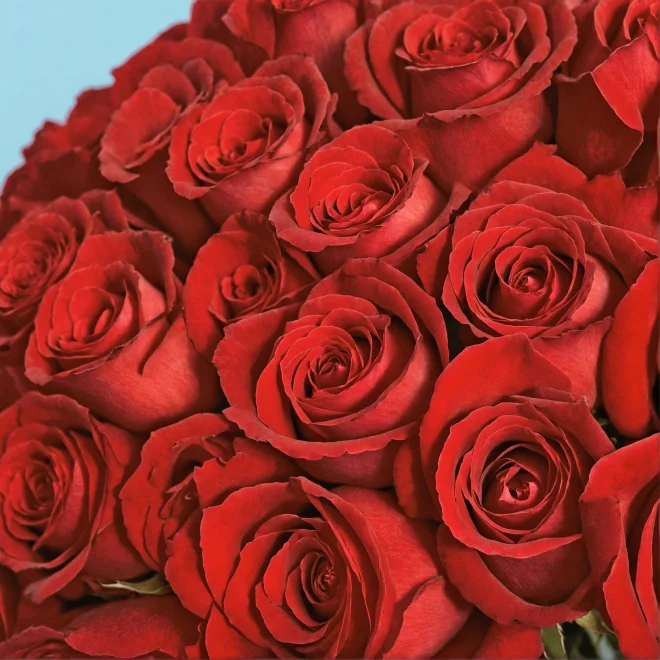Product image 174