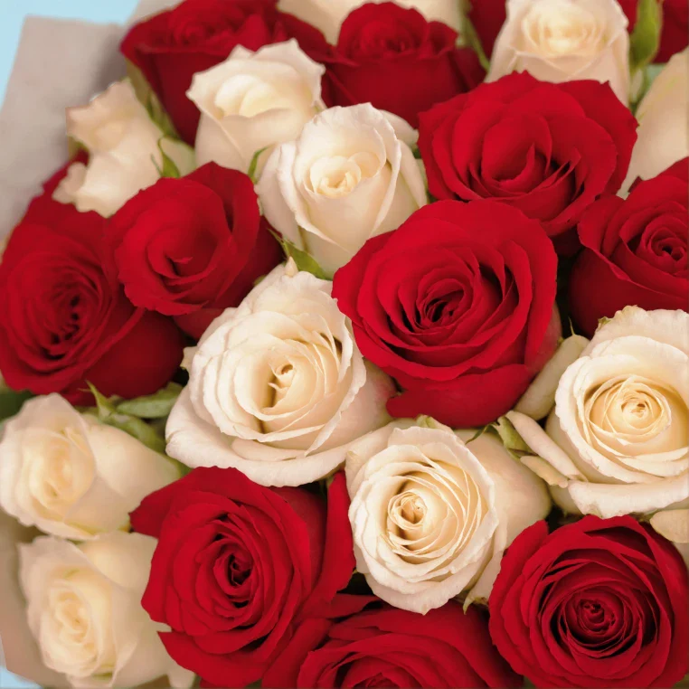 Product image 181