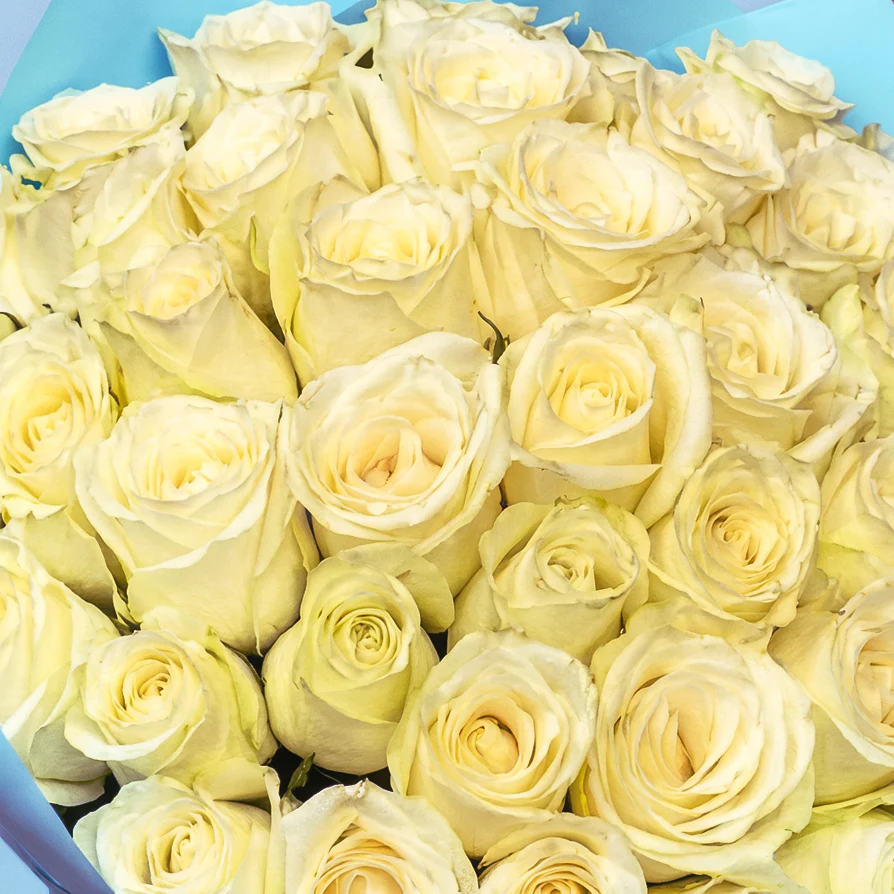 Product image 212